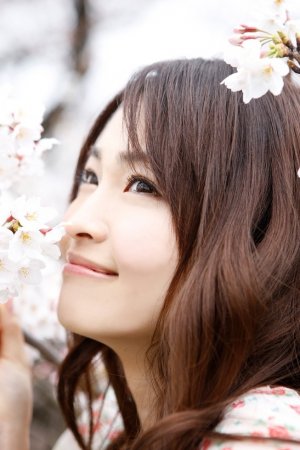 成全在线观看免费全集高清