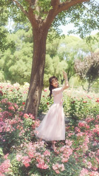 明星大侦探第四季